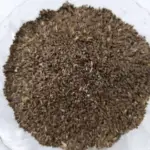 Astercantha Longifolia (Seeds of Talmakhana)