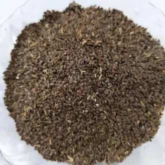 Astercantha Longifolia (Seeds of Talmakhana)