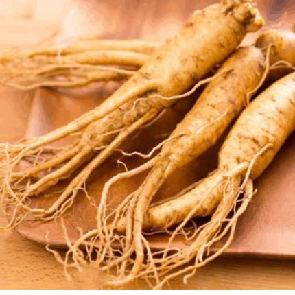 Ginseng
