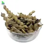 Native Acacia (Desi Kekar ki kachi phalyan)